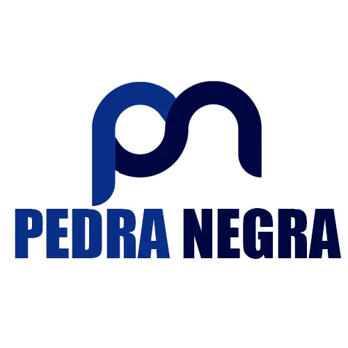 Viação Pedra Negra Itaúna